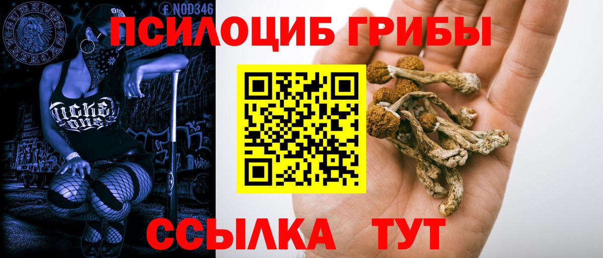 Галлюциногенные грибы Cubensis Красноармейск